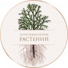Никулин