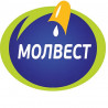 АО "Молвест"