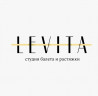 Levita
