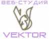 Веб-студия VEKTOR