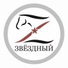 Конный клуб "Звездный"