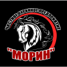 Морин